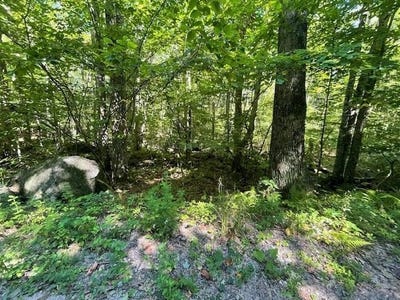 /international/us/whitney-road-lot-132-henniker-nh-110101193501/