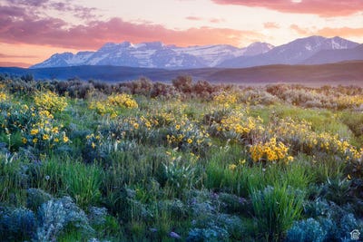 /international/us/1115-e-hoyt-peak-ranch-rd-marion-ut-110102754211/