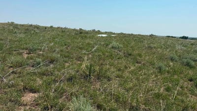 /international/us/vacant-land-lot-6-wray-co-110109406207/