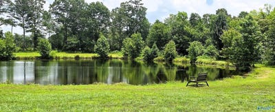 /international/us/354-county-road-162-henagar-al-110100257715/