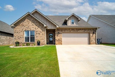 /international/us/427-zoey-grace-drive-rogersville-al-110119712616/