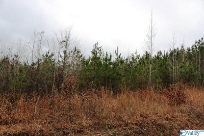 /international/us/lot-7-quail-drive-centre-al-110089435989/?lang=zh-tw