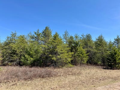 /international/us/green-apple-ct-lot-17-woodruff-wi-110107351731/