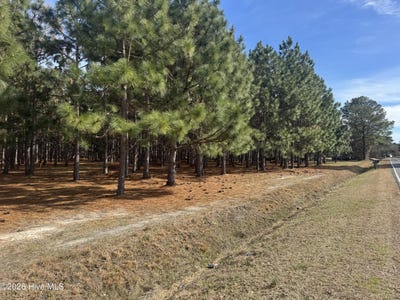 /international/us/butler-mill-road-lot-tract-1-bladenboro-nc-110105927619/