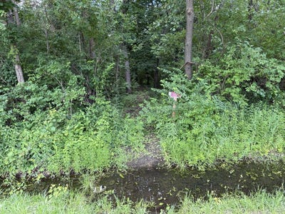 /international/us/35841-s-jay-drive-custer-park-il-110108850910/