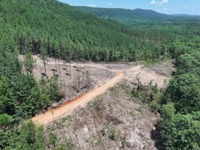 /international/us/xxx-palmer-mountain-road-caddo-gap-ar-110100264868/