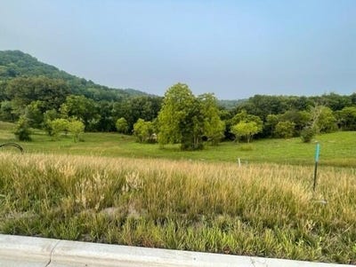 /international/us/lot-48-madison-heights-dr-onalaska-wi-110101714464/