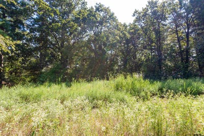 /international/us/13234-mountain-view-rd-s-winona-tx-110120064633/