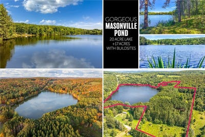 /international/us/masonville-pond-cummings-road-lot-11-sidney-center-ny-110101990088/