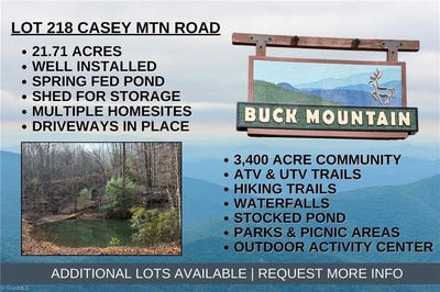 /international/us/casey-mountain-road-lot-218-purlear-nc-110104069973/