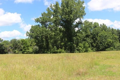 /international/us/0000-sylvan-drive-manning-sc-110101269787/?lang=fr