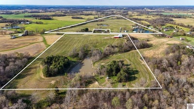 /international/us/10200-ky-80-fancy-farm-ky-110107735666/