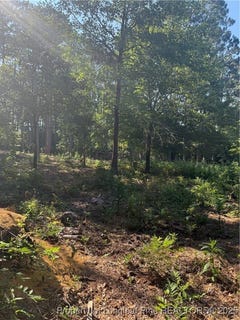/international/us/stephanie-street-southern-pines-nc-110101194256/