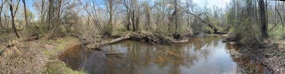 /international/us/parsons-road-ashland-va-110106976520/