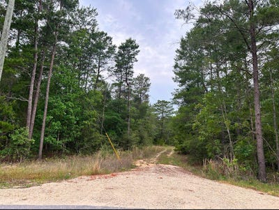 /international/us/799-osage-drive-defuniak-springs-fl-110097759917/?lang=en