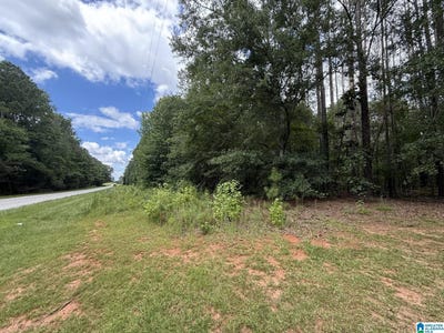 /international/us/tract-3-county-road-103-woodland-al-110100965795/
