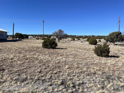 /international/us/63-alpine-lane-concho-az-110098156890/