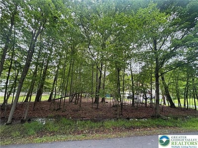/international/us/135-heather-hill-road-pike-pa-110099966671/?lang=zh-cn