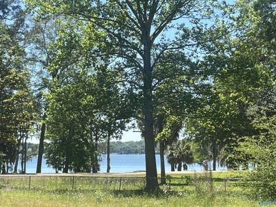 /international/us/23323-4th-avenue-florala-al-110107843793/