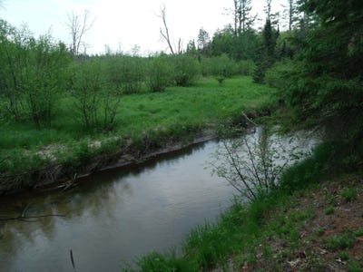 /international/us/spikehorn-trail-indian-river-mi-110101089537/?lang=zh-cn