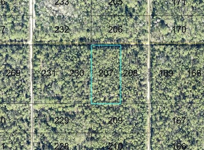 /international/us/207-donna-street-hastings-fl-110110397984/