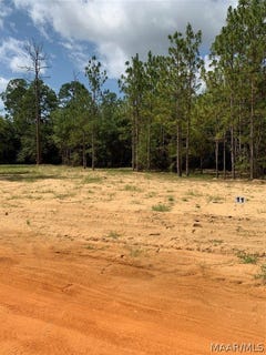 /international/us/deer-loop-lot-11-camden-al-110078457215/