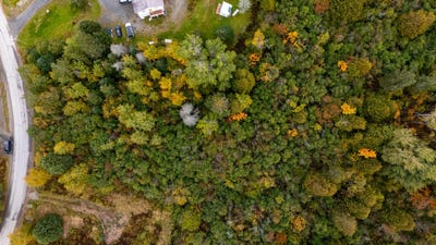 /international/us/m38-l33-grandview-avenue-rangeley-me-110119930706/