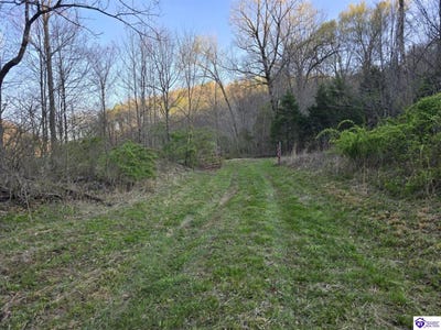 /international/us/0-jay-wheeler-road-columbia-ky-110098834114/