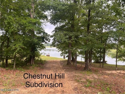 /international/us/chestnut-hill-lot-25-flora-ms-110102430200/
