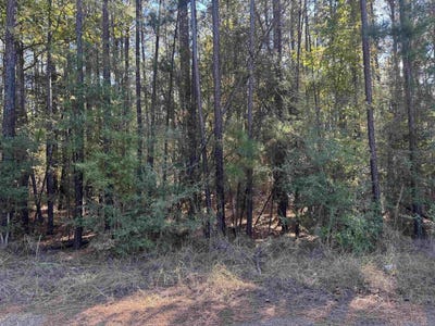 /international/us/095-private-road-6028-brookeland-tx-110105276837/