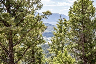 /international/us/sun-west-ranch-lot-37-cameron-mt-110097203853/?lang=pt