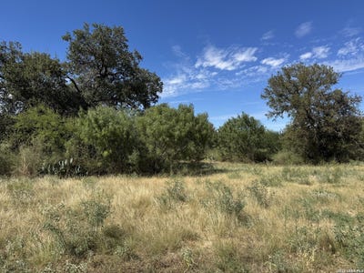 /international/us/600-rio-st-uvalde-tx-110120637841/