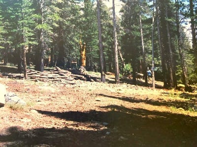 /international/us/90-pinecrest-virginia-lakes-ca-110090849605/