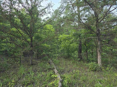 /international/us/n-hopewell-hollow-rd-norfork-ar-110100159714/