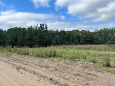 /international/us/1707-hassman-hill-tract-b-road-sw-pine-river-mn-110106692325/