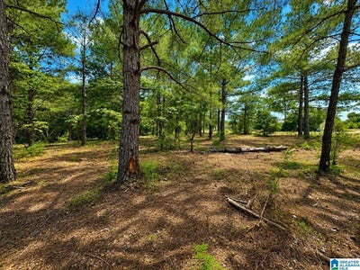 /international/us/n-county-road-21-prattville-al-110109192511/