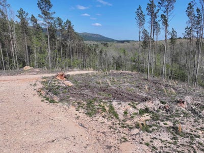 /international/us/14-palmer-mountain-caddo-gap-ar-110107154303/