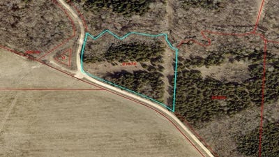 /international/us/99999-tbd-cr-27300-road-honey-grove-tx-110095451525/