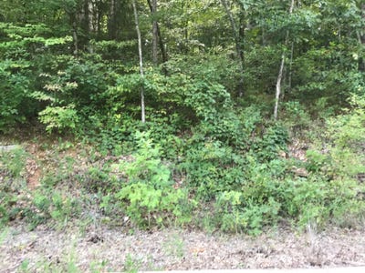 /international/us/lot-214-bayview-drive-hollister-mo-110079417953/