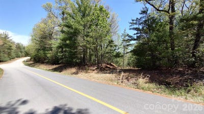 /international/us/staghorn-road-purlear-nc-110108268822/