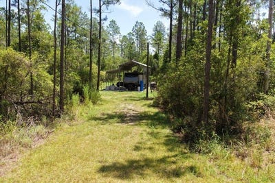 /international/us/1404-sw-pacific-drive-greenville-fl-110119381889/