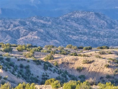 /international/us/tract-16-c-corona-drive-abiquiu-nm-110106668208/