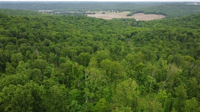 /international/us/48-acres-marvin-powell-road-elkton-ky-110107858345/