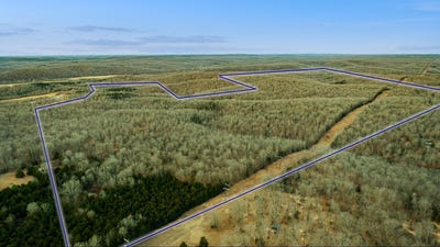 /international/us/spring-river-ranch-road-williford-ar-110104938043/