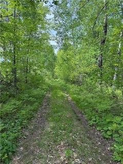 /international/us/tbd-range-line-rd-nickerson-twp-mn-110108938113/