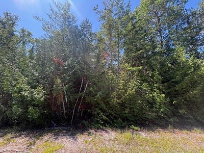 /international/us/l-166-169-northland-heights-drive-lot-166-169-presque-isle-mi-110105504502/