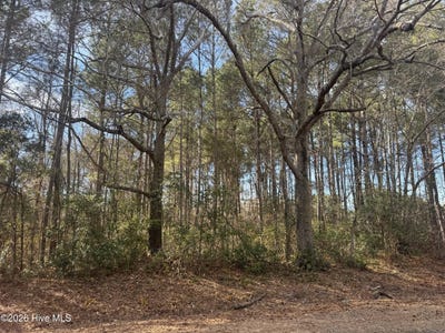 /international/us/butler-mill-road-lot-tract-4-bladenboro-nc-110106062795/
