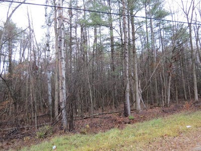 /international/us/lot-10-soper-road-chesterfield-ny-110077246232/