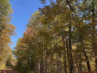 /international/us/tbd-county-road-12-akeley-mn-110102693482/