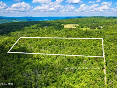 /international/us/l4-112-anderson-road-broome-ny-110119993682/